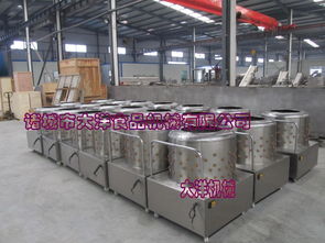 【大洋牌高產(chǎn)量雞鴨褪毛機(jī)快速禽類打毛設(shè)備廠家直銷】-